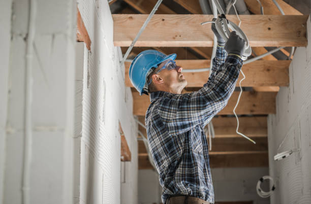 Best Ceiling Fan Installation Electrician  in Denmark, SC