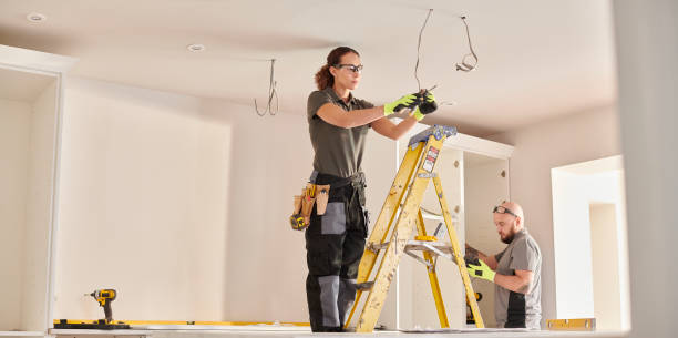 Best Electric Panel Repair  in Denmark, SC