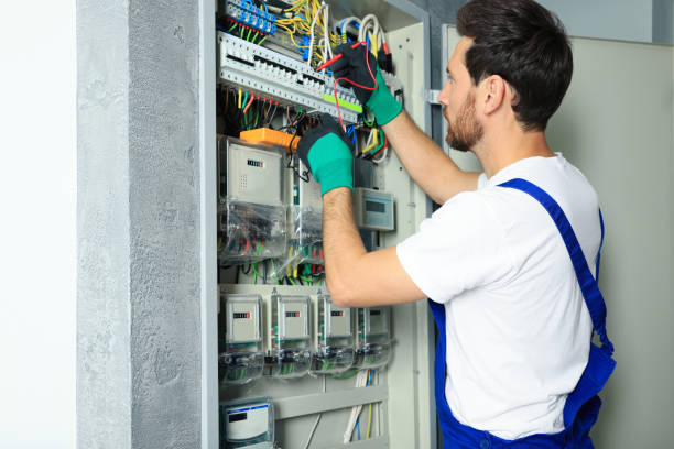 Best Electrical Upgrades for Homes  in Denmark, SC