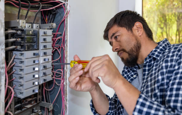 Best Electrical Repair Services  in Denmark, SC